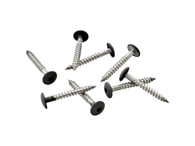 Pack of 100 39mm Stainless Steel Screw + Bit for Fibre Cement Cladding Black