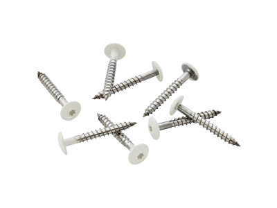 Pack of 100 39mm Stainless Steel Screw + Bit for Fibre Cement Cladding-White