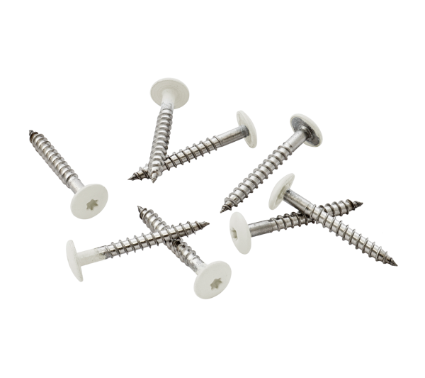 Pack of 100 39mm Stainless Steel Screw + Bit for Fibre Cement Cladding Boards