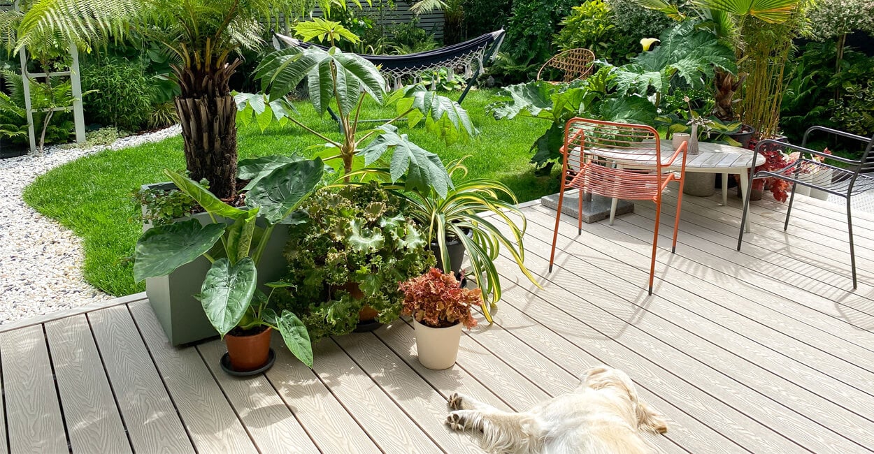 colourful decking area in the sun with sleeping dog