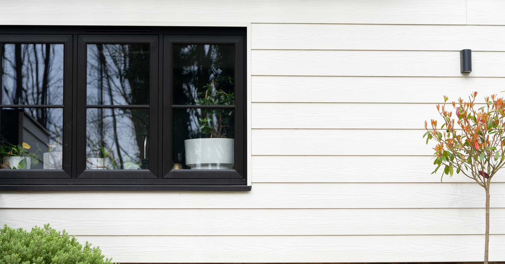 Close up of the house with a view of a window.